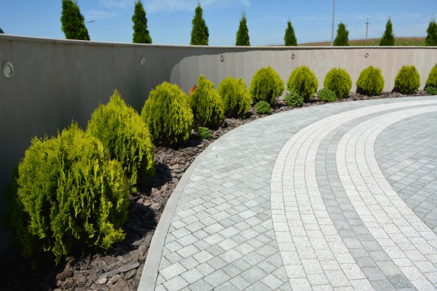 Best Driveway Sealing and Maintenance in Gold Bar, WA